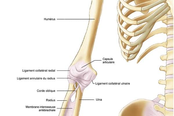 epicon dylite laterale maladie professionnelle elbow tennis chirurgien orthopediste epaule paris 16 dr charles schlur specialiste epaule a paris